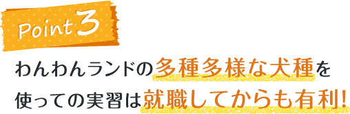 わんわんランドの多種多様な犬種を使っての実習は就職してからも有利！