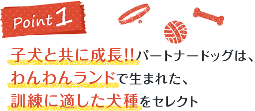 子犬と共に成長！！パートナードッグは、わんわんランドで生まれた、訓練に適した犬種をセレクト