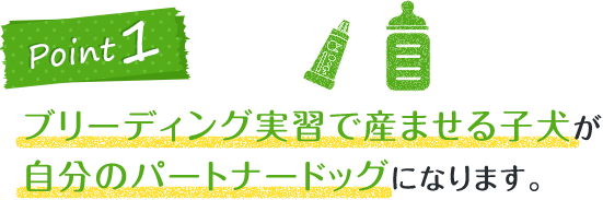 ブリーディング実習で産ませる子犬が自分のパートナードッグになります。