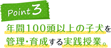 年間100頭以上の子犬を管理・育成する実践授業。