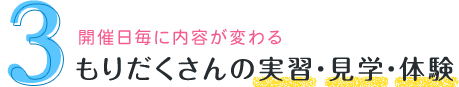 開催日毎に内容が変わる もりだくさんの実習・見学・体験