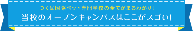 つくば国際ペット専門学校の全てがまるわかり！ 当校のオープンキャンパスはここがスゴい！