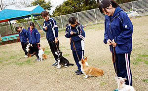 トレーニング実習場