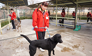 パートナードッグ専用犬舎