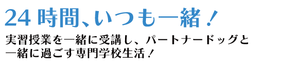 ２４時間、いつも一緒！ 実習授業を一緒に受講し、パートナードッグと一緒に過ごす専門学校生活