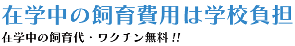 在学中の飼育費は学校負担 在学中の飼育代・ワクチン無料！！