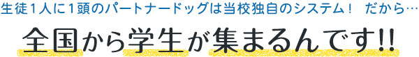 生徒１人に１頭のパートナードッグは当校独自のシステム！ だから… 全国から学生が集まるんです!!