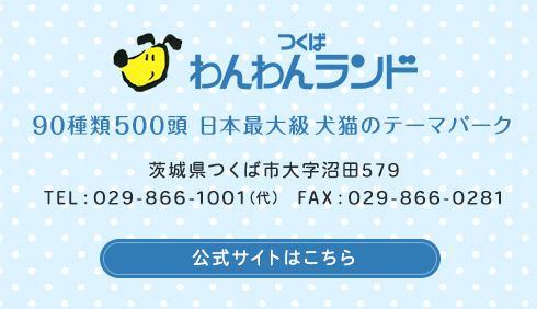 つくばわんわんランド 90種類500頭 日本最大級犬猫のテーマパーク 公式サイトはこちら