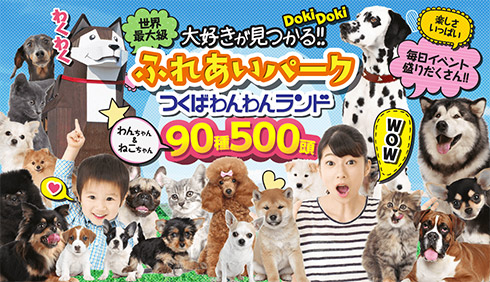 つくばわんわんランド 90種類500頭 日本最大級犬猫のテーマパーク 公式サイトはこちら