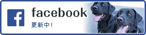 つくば国際ペット専門学校facebook