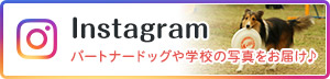 つくば国際ペット専門学校Instagram パートナードッグや学校の写真をお届け♪