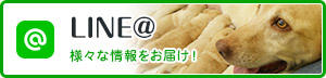 つくば国際ペット専門学校LINE@ 様々な情報をお届け！