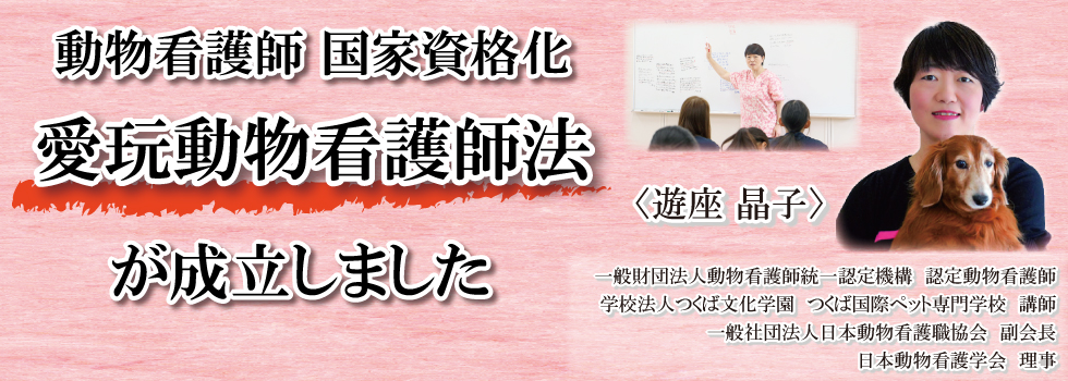 『愛玩動物看護師法』が成立しました！