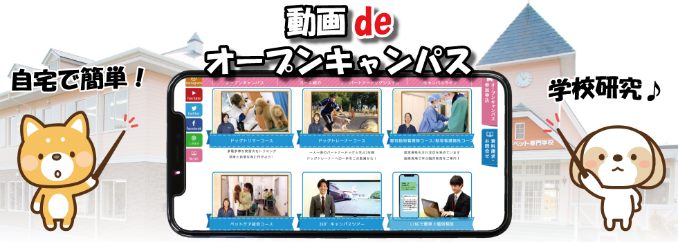 動画 de オープンキャンパス！