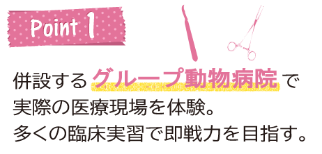 併設するグループ動物病院で実際の医療現場を体験。多くの臨床経験で即戦力を育成します。