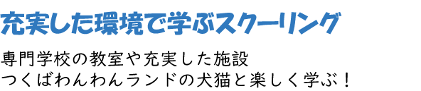 充実した環境で学ぶスクーリング