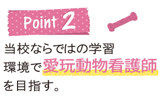 当校ならではの環境で愛玩動物看護師を目指す。