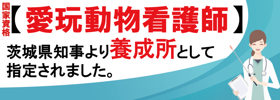 愛玩動物看護師【養成所】として指定されました。