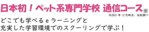 日本初ペット系専門学校通信コース