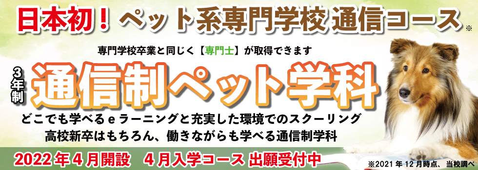 通信制ペット学科