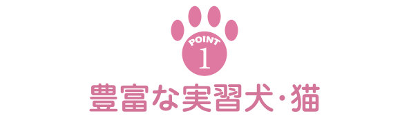 point1 豊富な実習犬