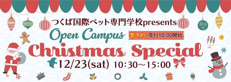 2023.11.30Christmas