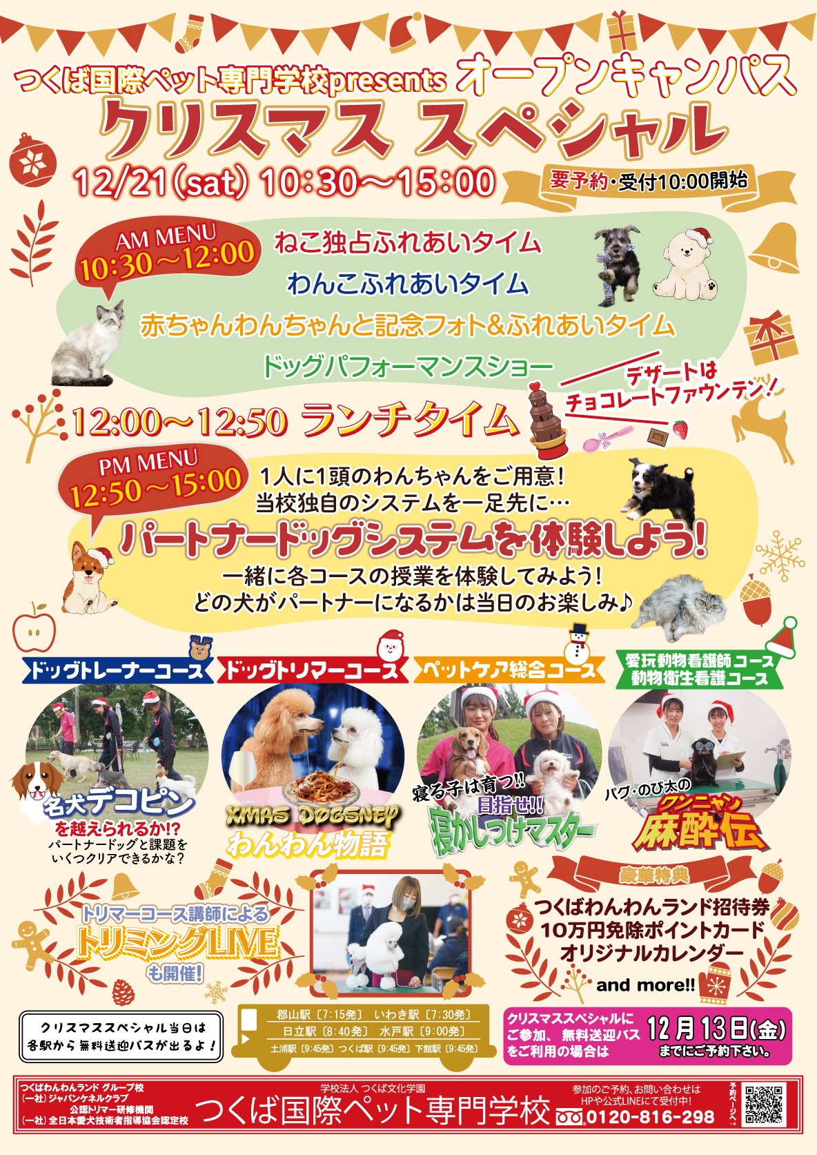 クリスマススペシャル2024♪