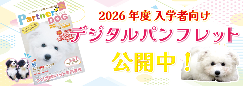 2026デジタルパンフレット
