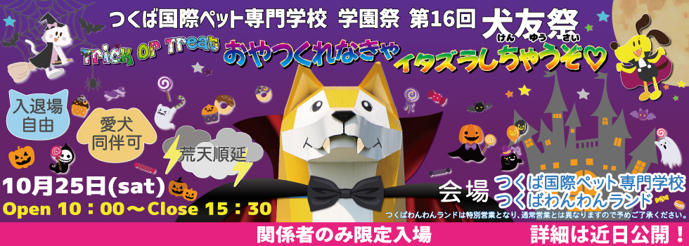 2025犬友祭